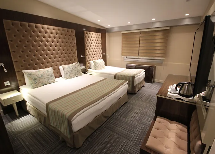 安卡拉黄金酒店 3*