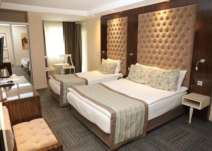 安卡拉黄金酒店 3*